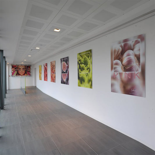 M系列空气排放阀